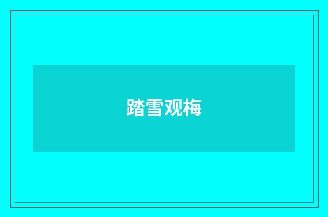 踏雪观梅