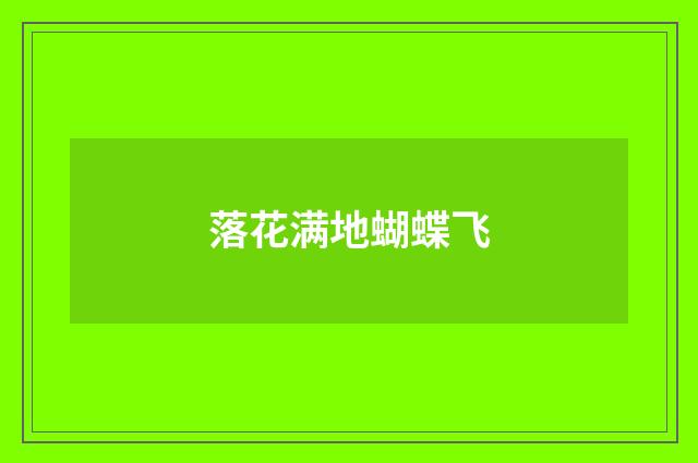 落花满地蝴蝶飞