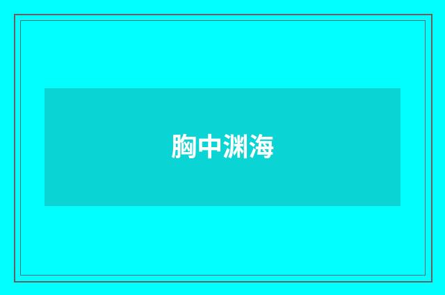 胸中渊海