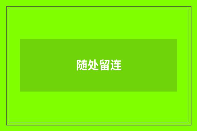 随处留连