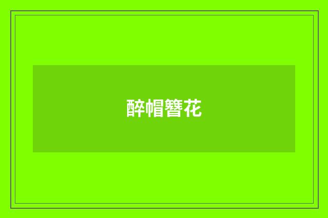 醉帽簪花