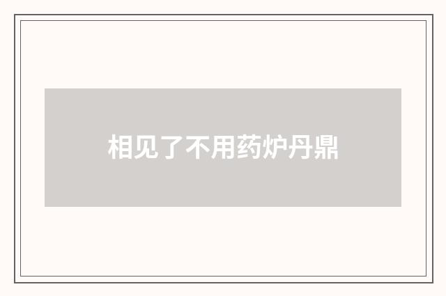 相见了不用药炉丹鼎