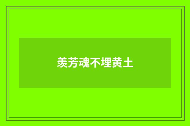 羡芳魂不埋黄土