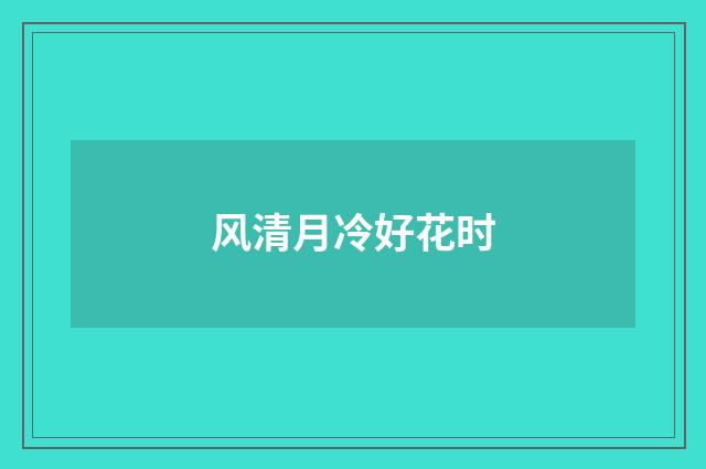 风清月冷好花时