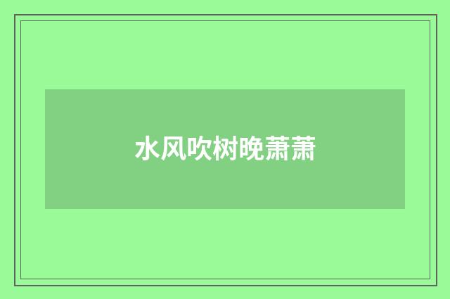 水风吹树晚萧萧