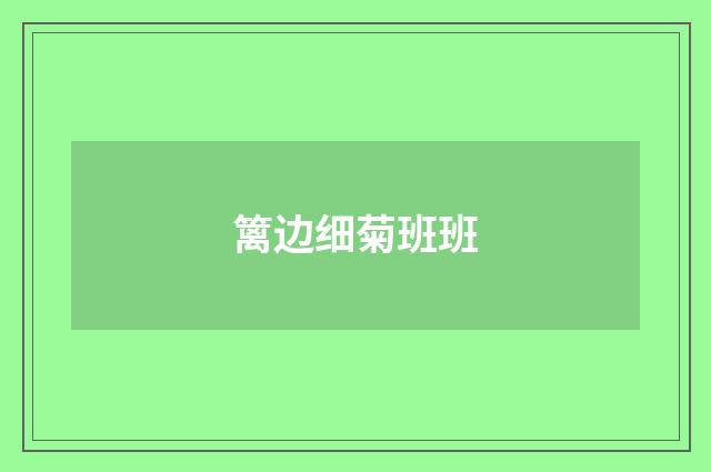 篱边细菊班班