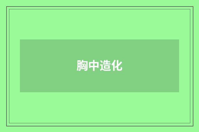 胸中造化