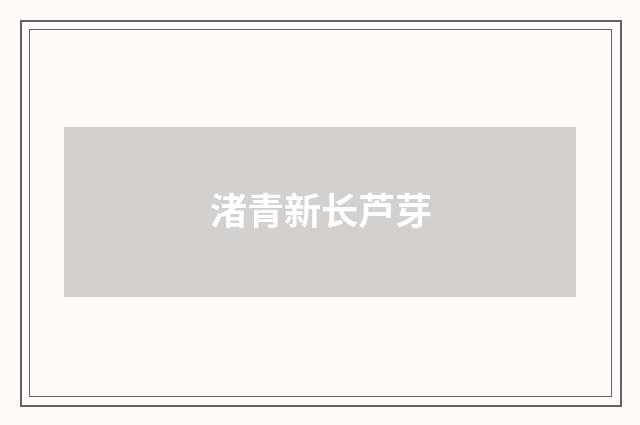 渚青新长芦芽