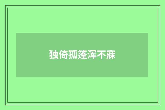 独倚孤篷浑不寐