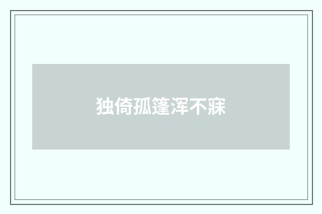 独倚孤篷浑不寐