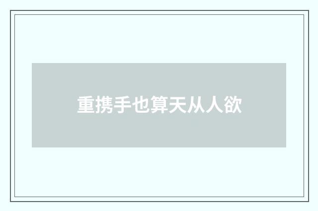 重携手也算天从人欲