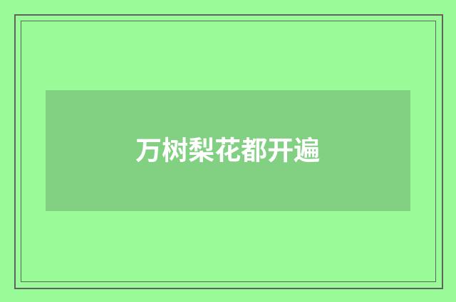 万树梨花都开遍