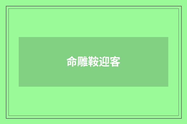 命雕鞍迎客