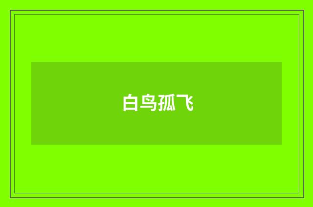 白鸟孤飞