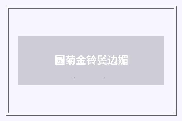 圆菊金铃鬓边媚
