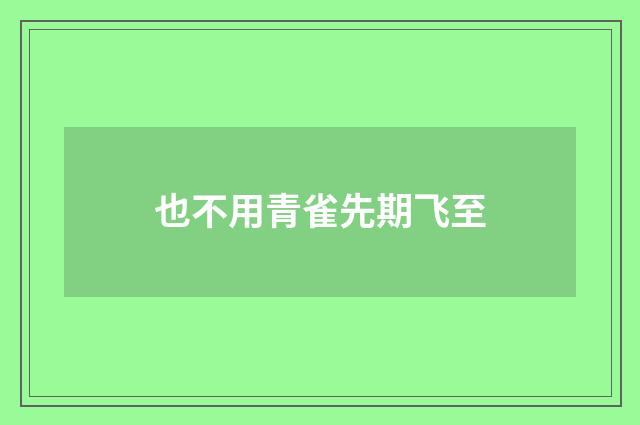 也不用青雀先期飞至