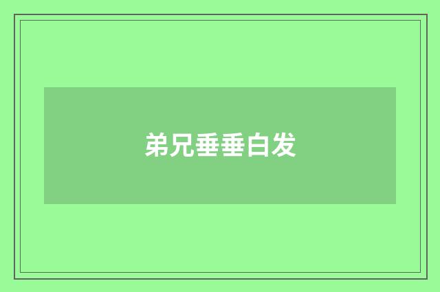 弟兄垂垂白发