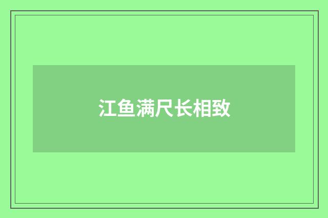 江鱼满尺长相致
