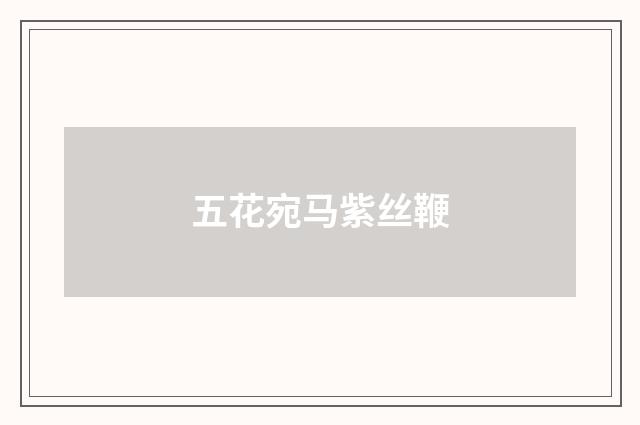 五花宛马紫丝鞭