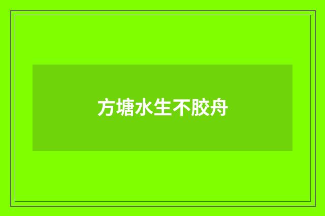 方塘水生不胶舟