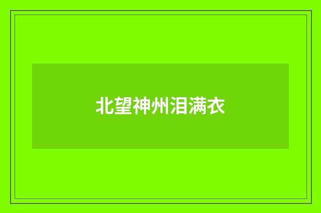 北望神州泪满衣