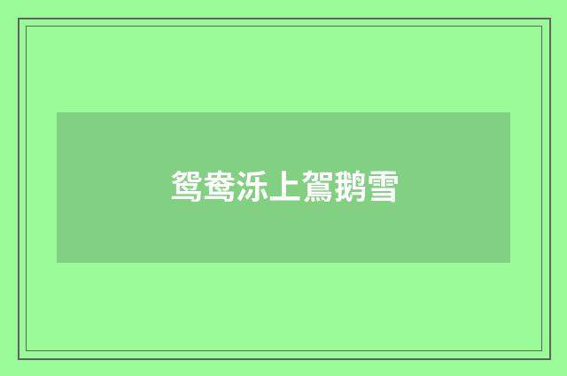 鸳鸯泺上鴐鹅雪