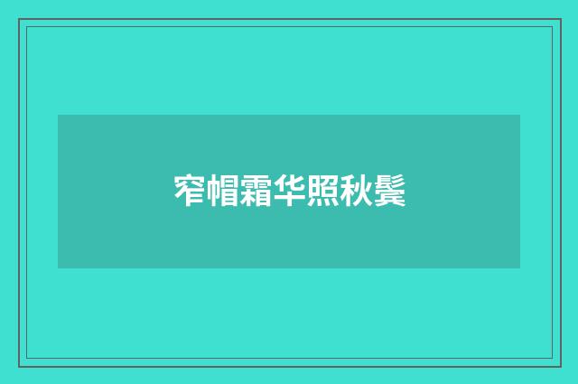 窄帽霜华照秋鬓