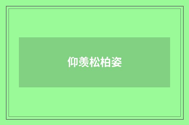 仰羡松柏姿