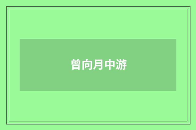 曾向月中游