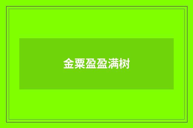金粟盈盈满树