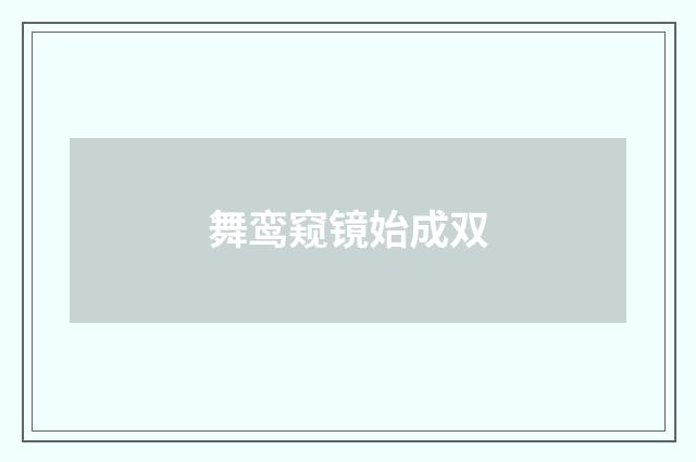 舞鸾窥镜始成双