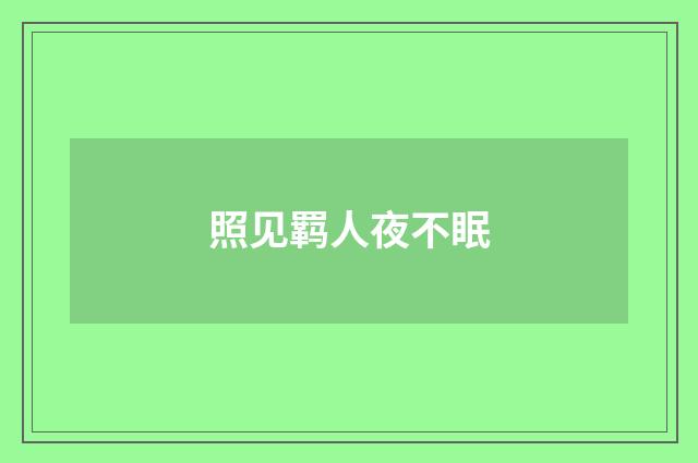 照见羁人夜不眠