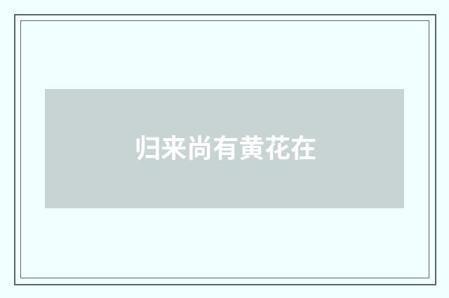 归来尚有黄花在