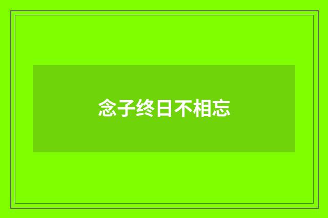 念子终日不相忘