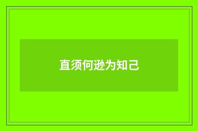 直须何逊为知己