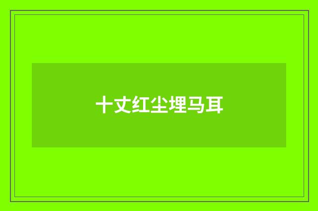 十丈红尘埋马耳