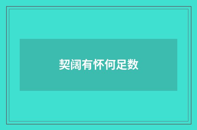契阔有怀何足数