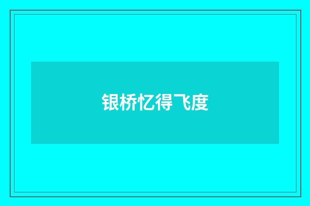 银桥忆得飞度