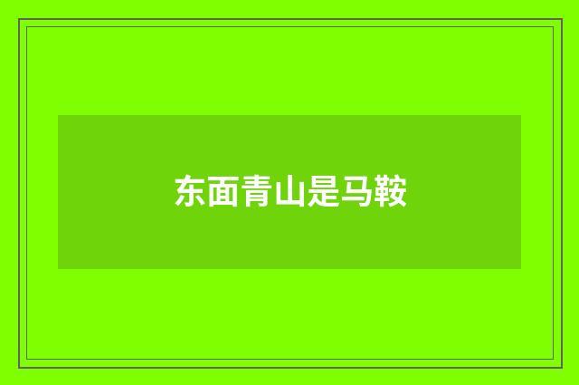 东面青山是马鞍