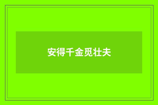 安得千金觅壮夫