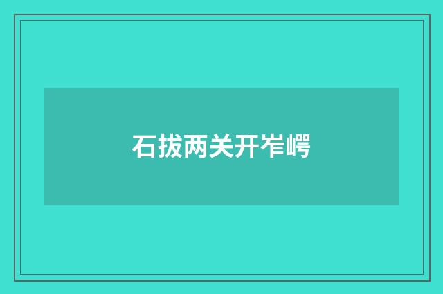 石拔两关开岝崿