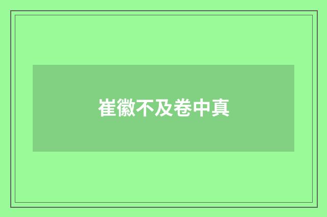 崔徽不及卷中真