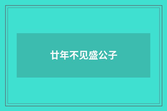 廿年不见盛公子