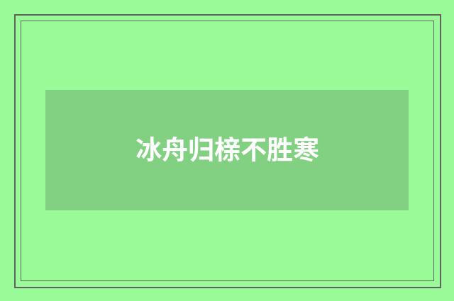 冰舟归榇不胜寒