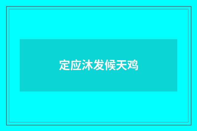 定应沐发候天鸡