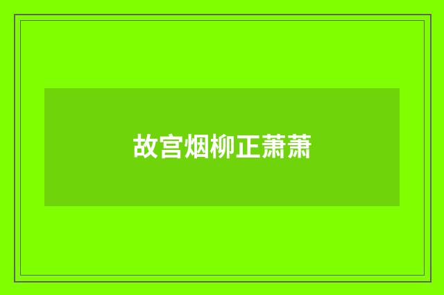 故宫烟柳正萧萧