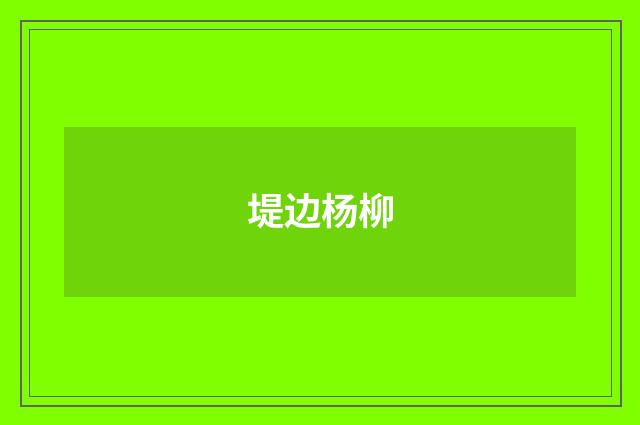 堤边杨柳