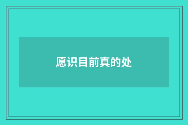 愿识目前真的处