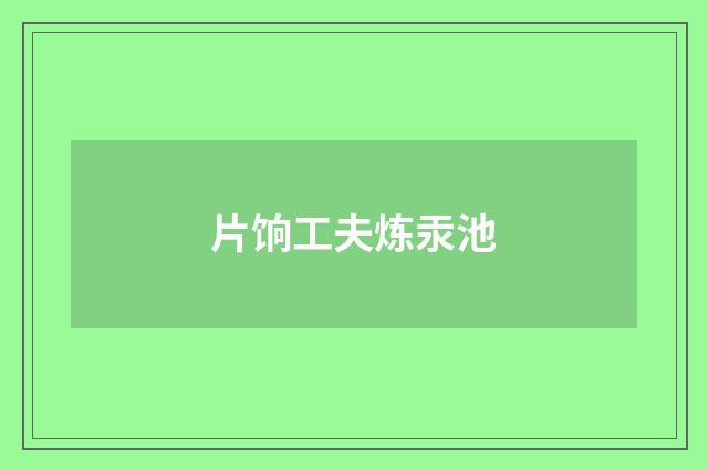 片饷工夫炼汞池