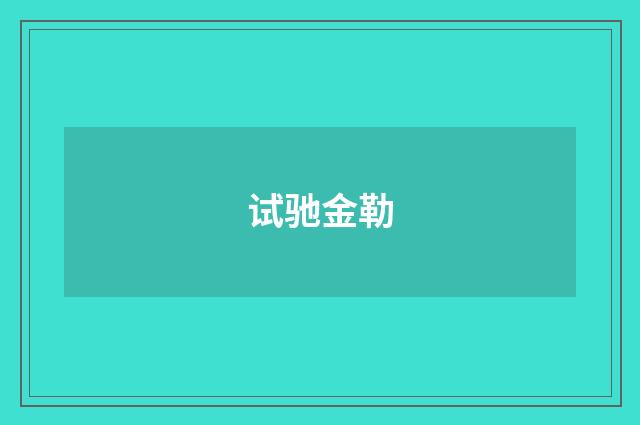 试驰金勒